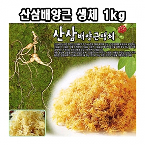 한국농업 산삼배양근 생체 1kg-명절 설날 추석 부모님 효도 건강 선물